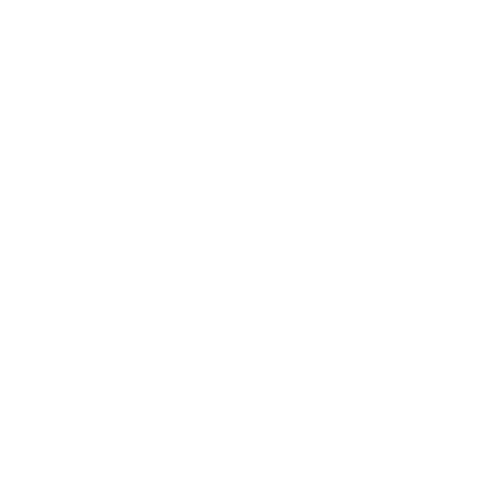 Logo icon white